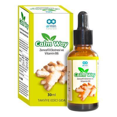 Calm Way Zencefil Vitamin B6 30ml Damla - ARMİN