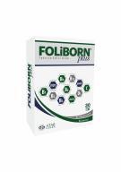 Foliborn Plus 30 Tablet - ARTHROLINE